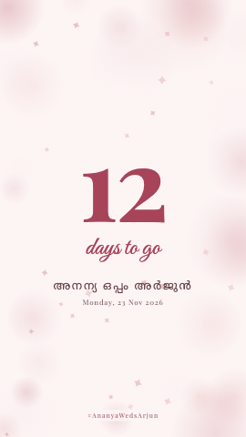 Days To Go · Blush — wedding invitation video design